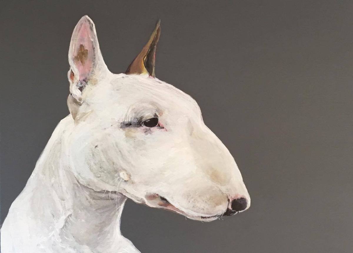 14455750_10153777003540925_1868088260_o